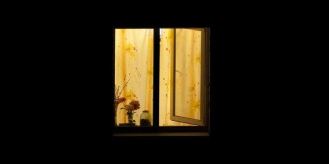 Бытовые фобии которыми страдает каждый