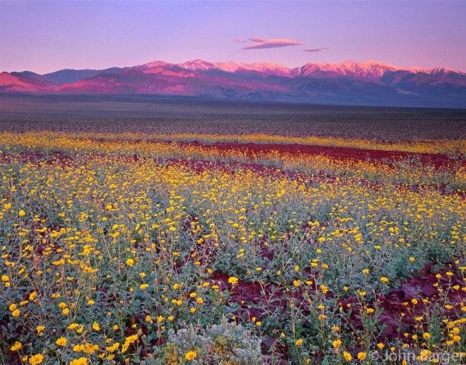 10 фактов о Долине Смерти о которых вы могли не знать