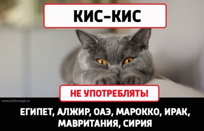 10 слов которые в других странах могут принять за ругательство