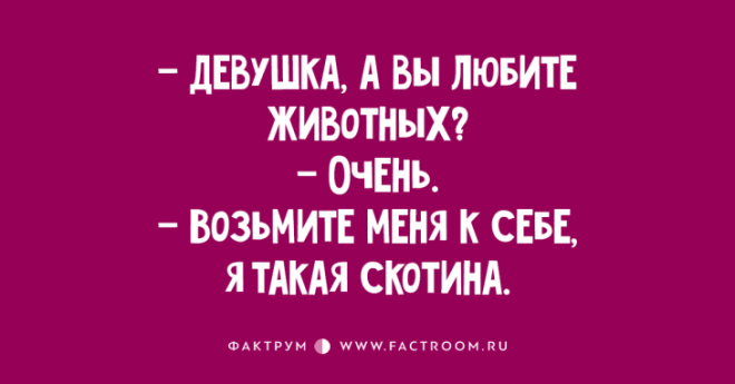 Десятка прекрасных анекдотов