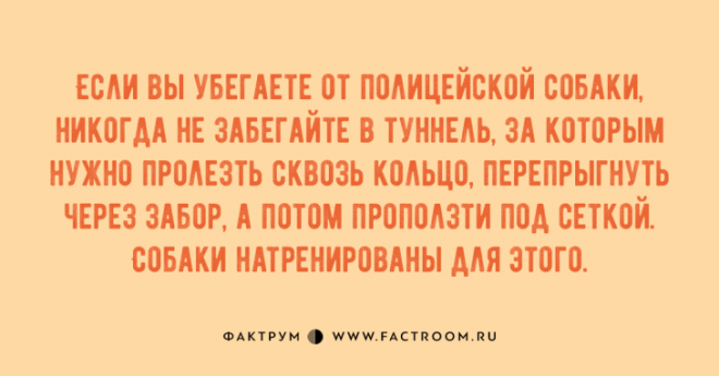 Чудные анекдоты, достойные вашего внимания