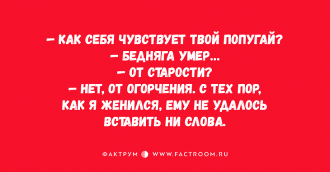 Ну очень смешные анекдоты, помогающие развеять скуку