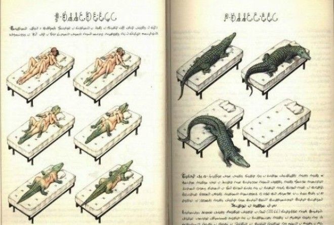 8 самых странных но потрясающих книг в мире