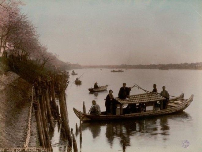 Плавучий дом на воде. Плавучий дом на воде