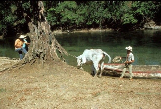 20 колоритных фотографий из повседневной жизни Гватемалы в 1970е годы