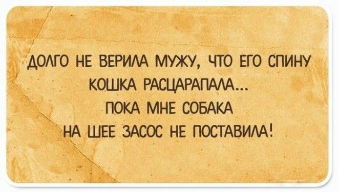15 правдивых противодепрессионных открыток людям с хорошим чувством юмора