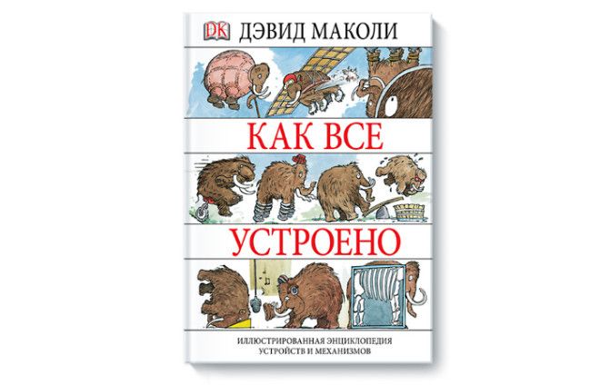 Как все устроено