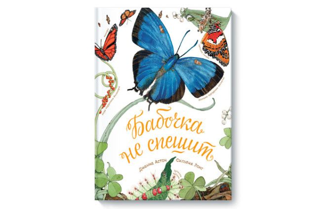 Бабочка не спешит