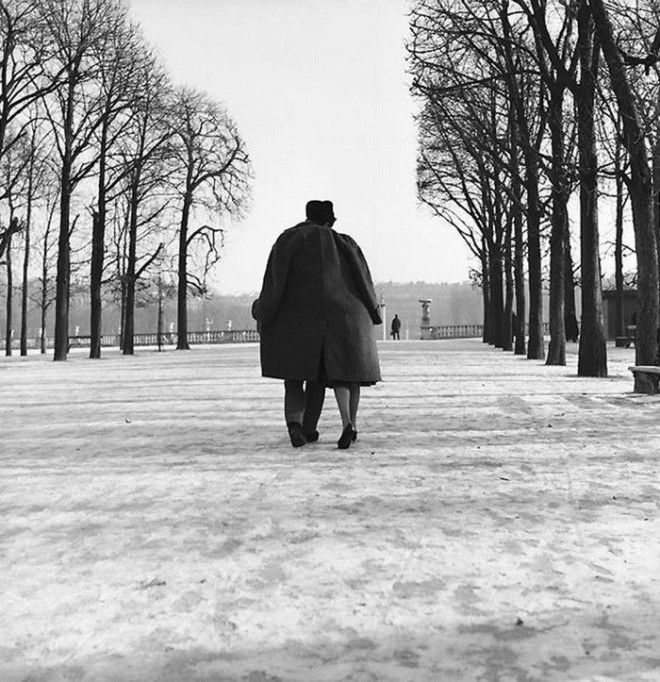 Французское юмористическое фото 1950х забавно рождение жанра смешное фото фотограф