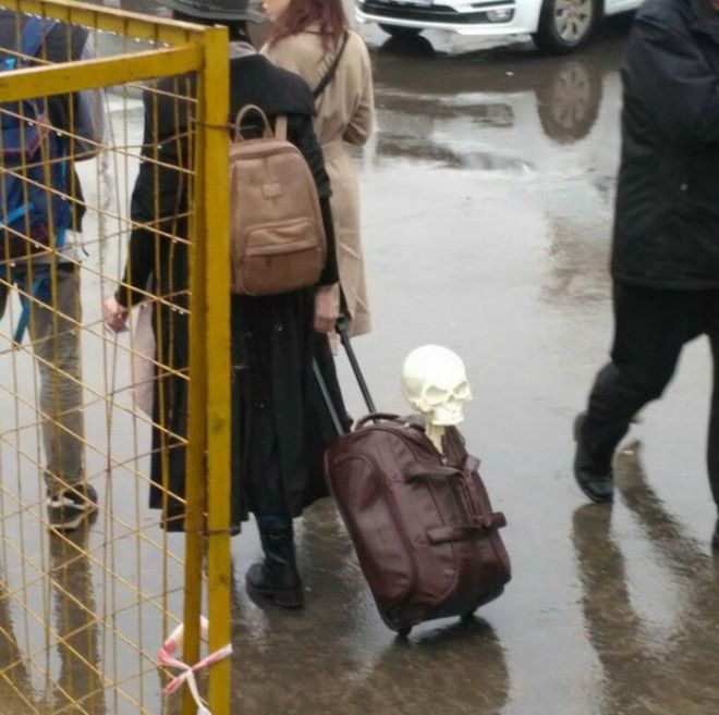 Скелет в чемодане