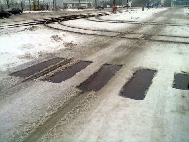 Временная зебра
