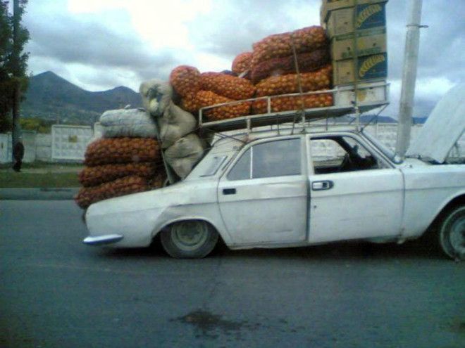 Дачник
