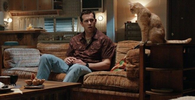 Уличный кот по кличке Боб и еще 5 фильмов о необычных питомцах