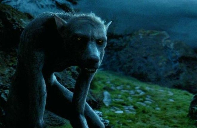 Фильмы Кадр из фильма 