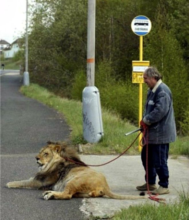 Человек с кошечкой