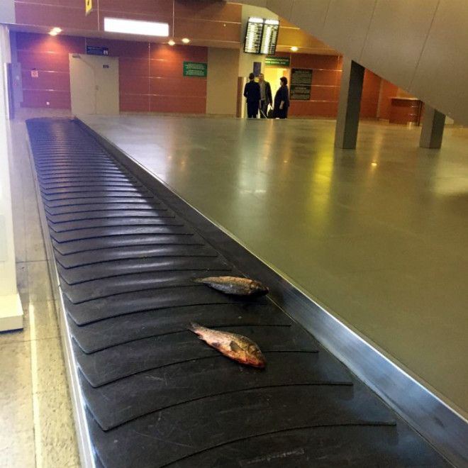 Улов