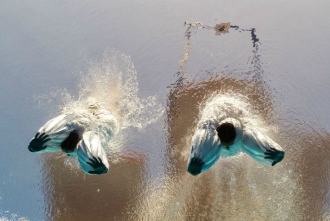 Эффектное вхождение