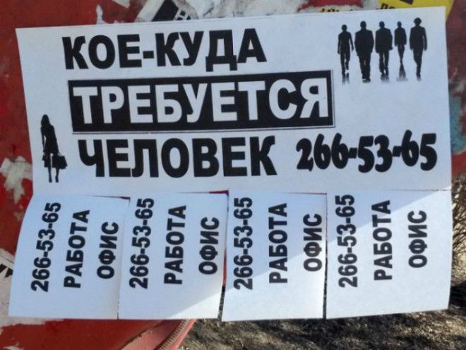 Заинтриговали