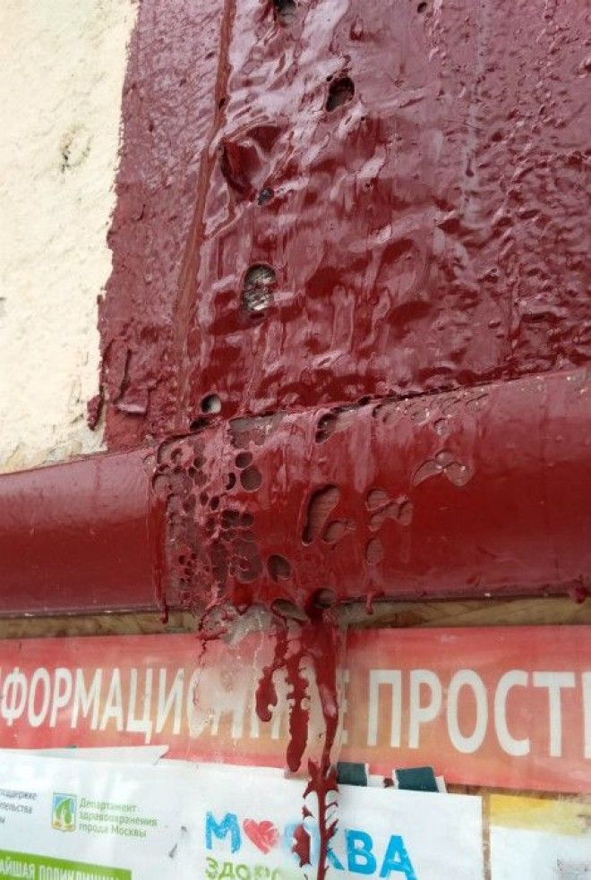 Качественная покраска