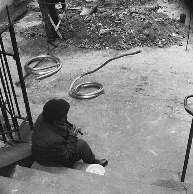 Французское юмористическое фото 1950х забавно рождение жанра смешное фото фотограф