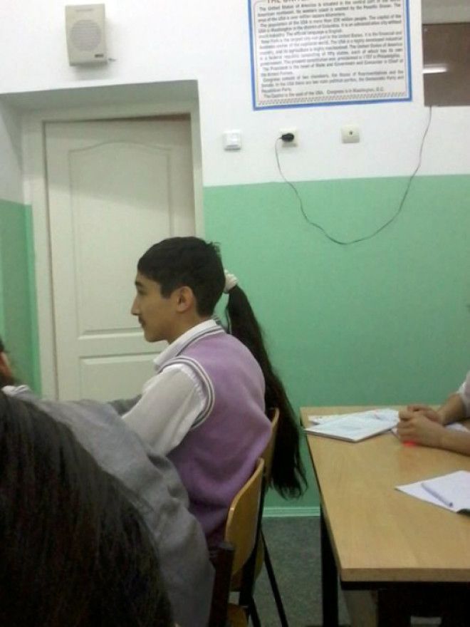 Длинный хвост. Длинный хвост