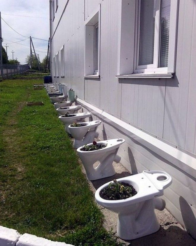 Зеленеющие унитазы