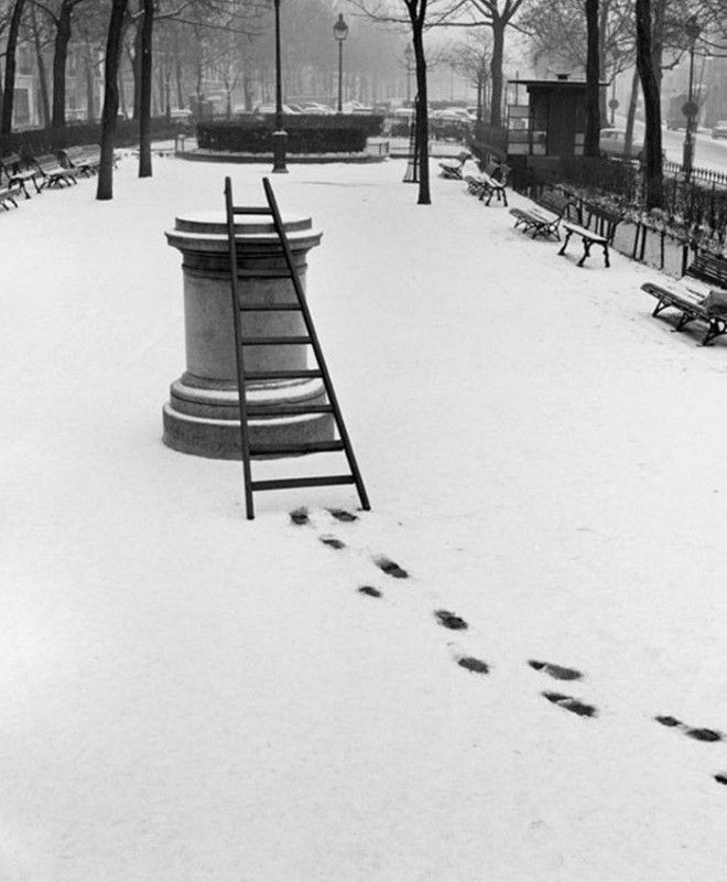 Французское юмористическое фото 1950х забавно рождение жанра смешное фото фотограф