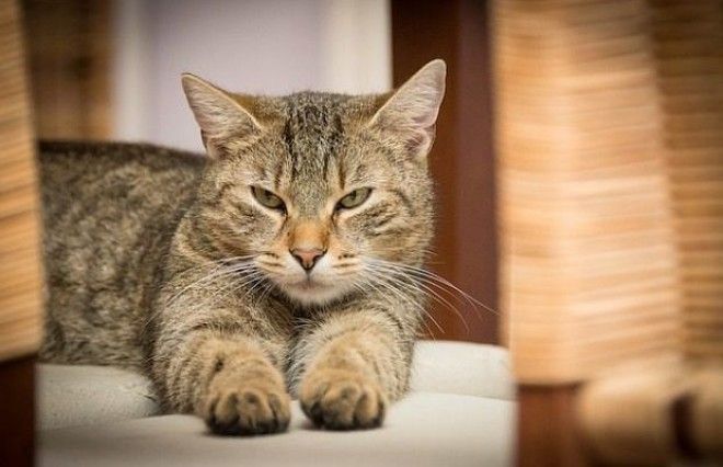 10 невинных вещей по которым можно узнать о вас всё