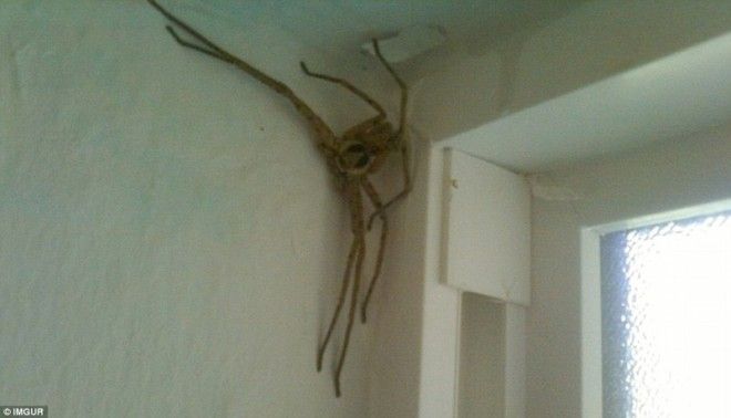 Фотографии из поездок в которых чтото пошло не так