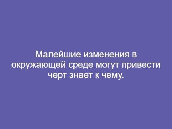 Проще некуда 8 мировых теорий в двух словах