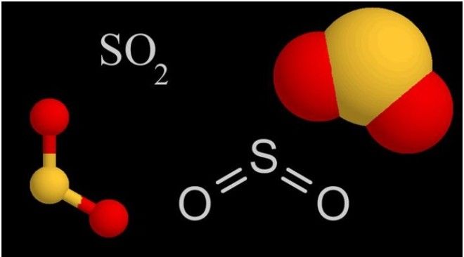 Так ли полезны сухофрукты 