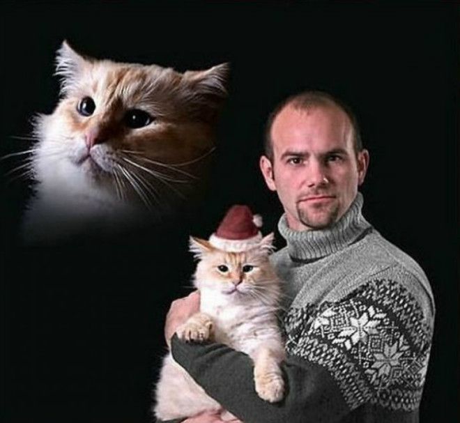 Только мы с котом