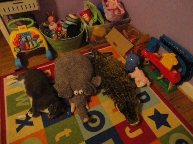 Свой среди чужих чужой среди своих 18 великолепных случаев маскировки
