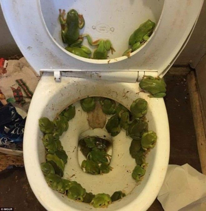 Фотографии из поездок в которых чтото пошло не так