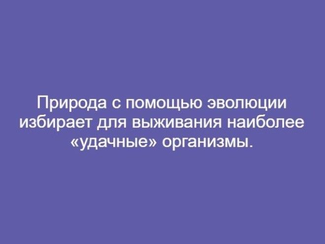 Проще некуда 8 мировых теорий в двух словах