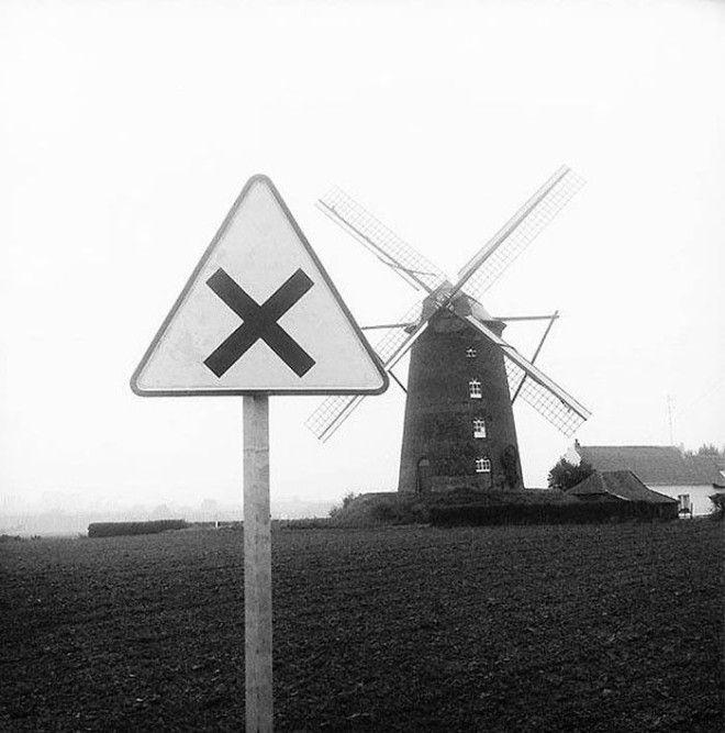 Французское юмористическое фото 1950х забавно рождение жанра смешное фото фотограф