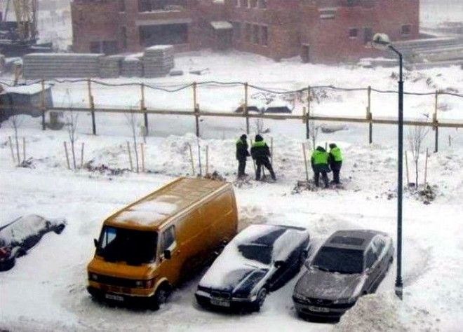 Высадка деревьев в мороз