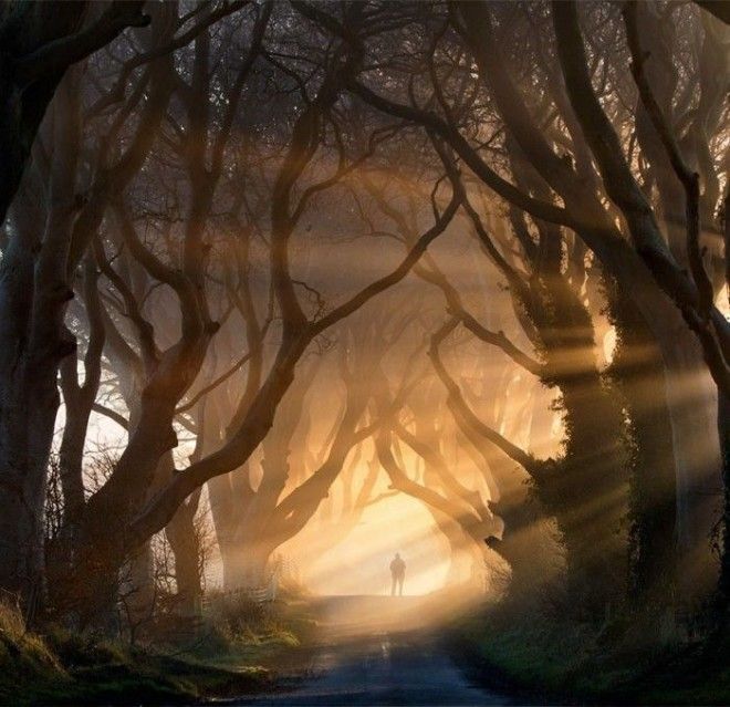 Фотограф Stephen Emerson