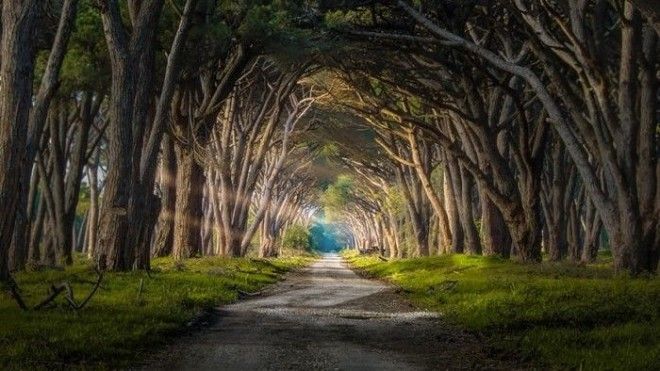 Фотограф Andrea Iorio
