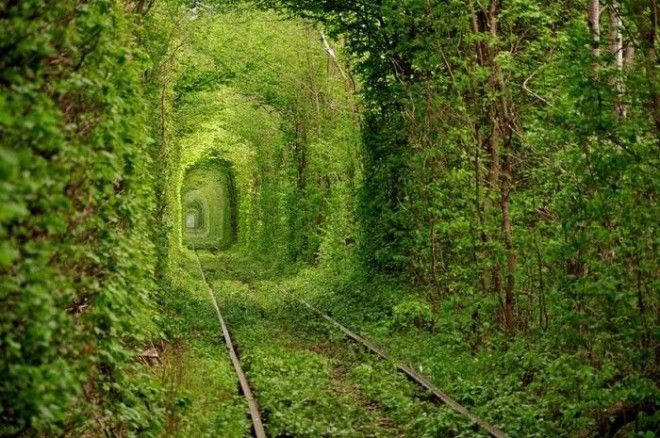 Фотограф Олег Гордиенко