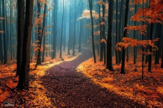 Фотограф Janek Sedlar