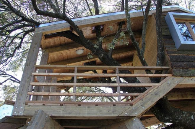 Картинки по запросу casa en el arbol