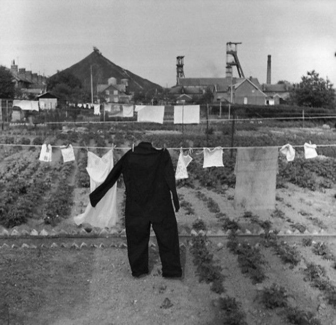 Французское юмористическое фото 1950х забавно рождение жанра смешное фото фотограф