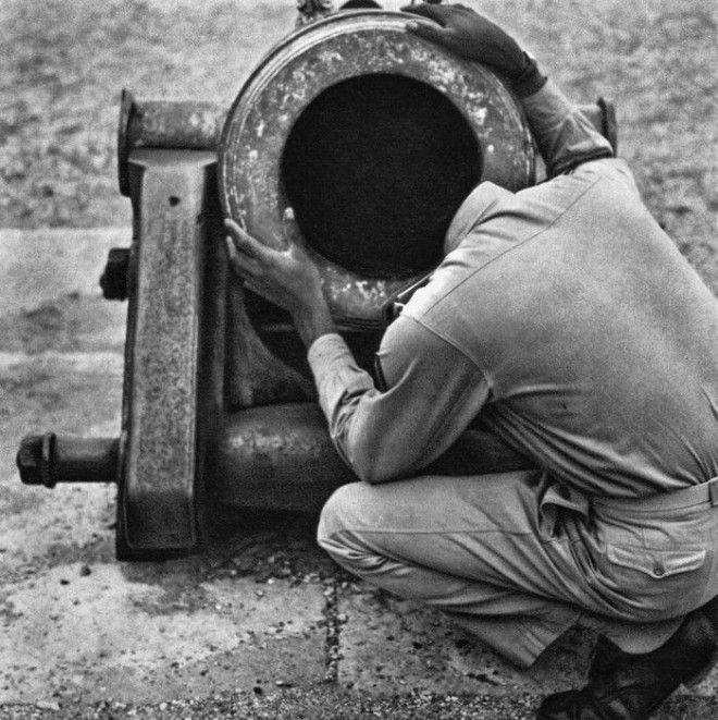 Французское юмористическое фото 1950х забавно рождение жанра смешное фото фотограф
