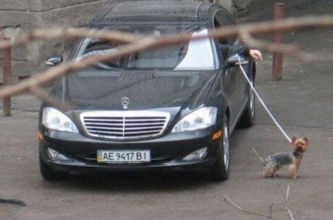 Лень или всё-таки здравый смысл? Лень или всётаки здравый смысл