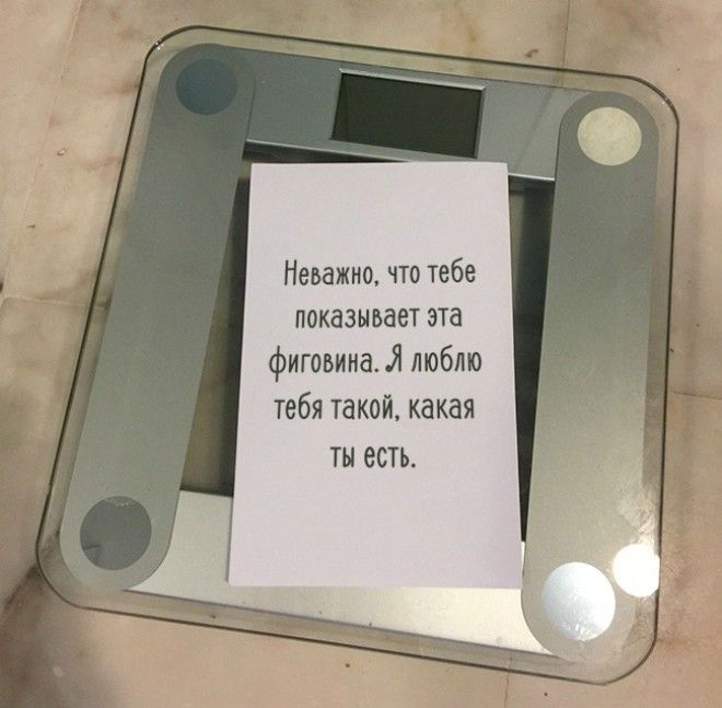 изобретательные мужья с которыми жизнь веселее 