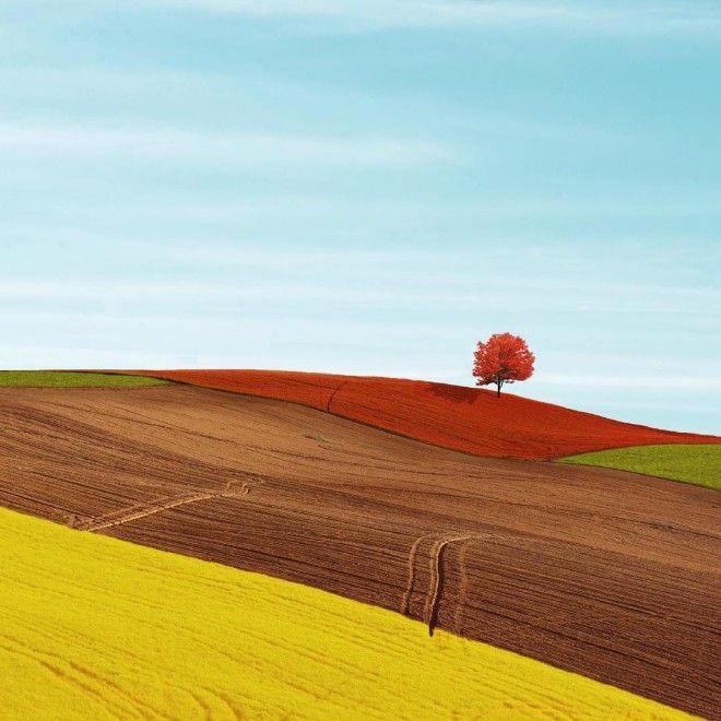 яркий мир фотографи Дилетта Пачифичи Diletta Pacifici