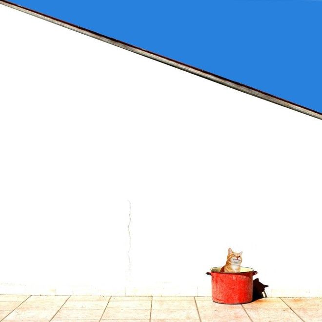 Яркий мир в фотографиях Дилетты Пачифичи яркий мир фотографи Дилетта Пачифичи Diletta Pacifici