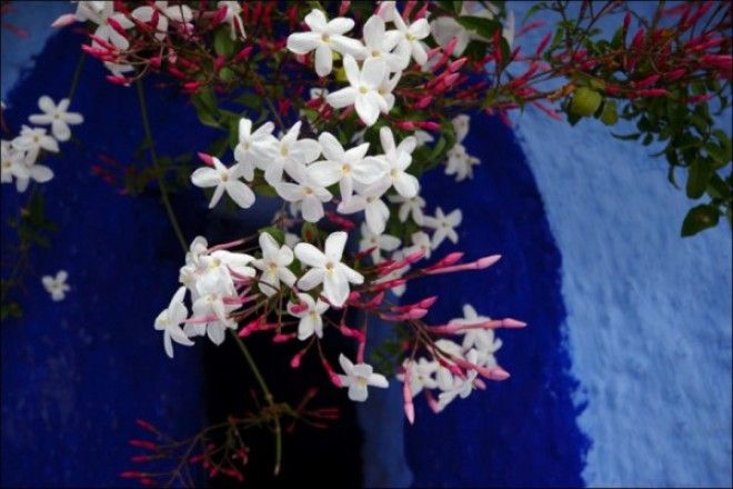 синий город -09 путешествие синий город 09