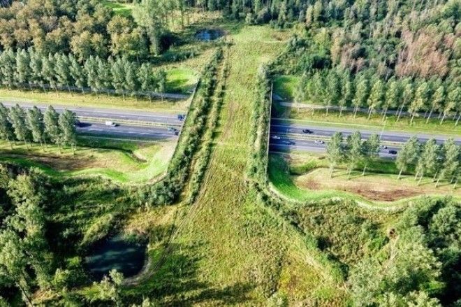 10 примеров того как нужно относиться к природе